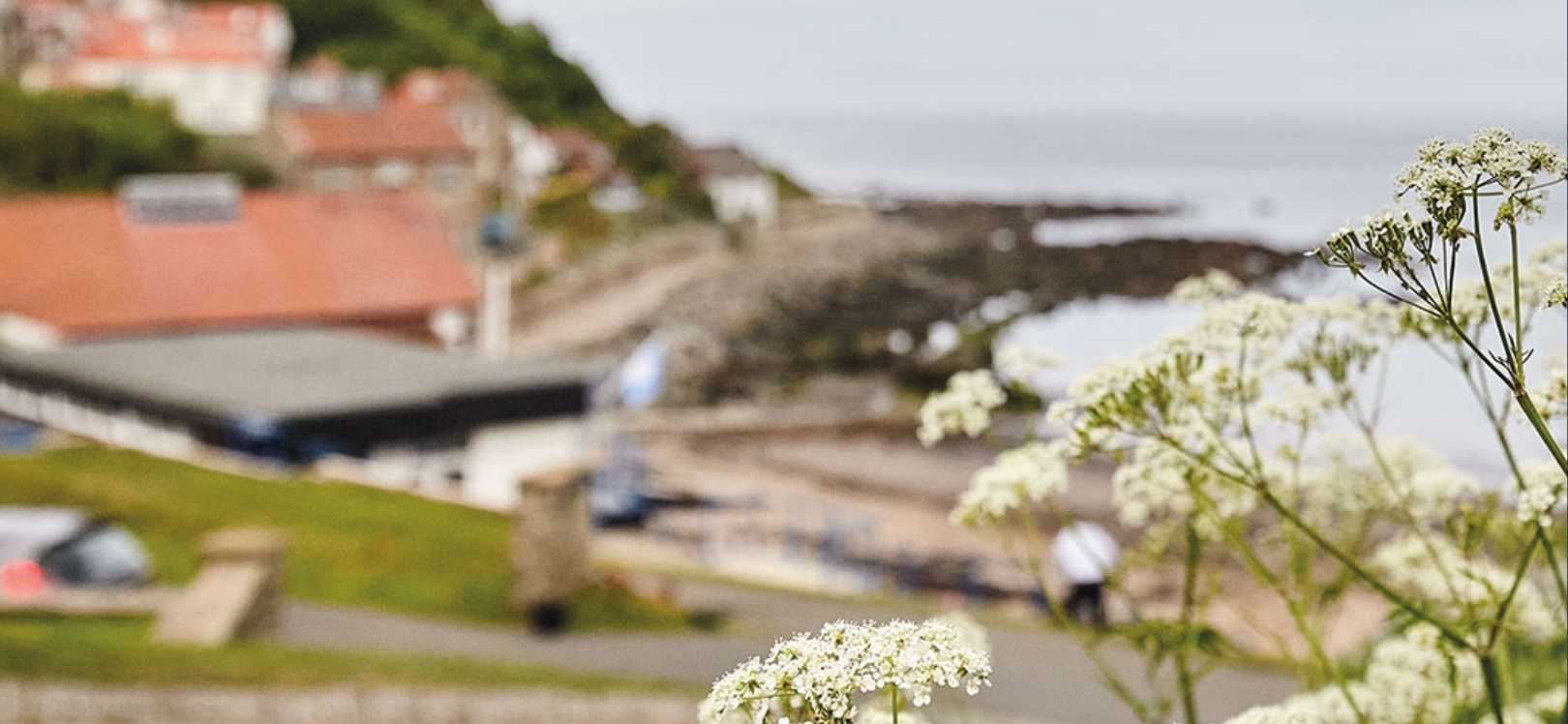 A seaside bay