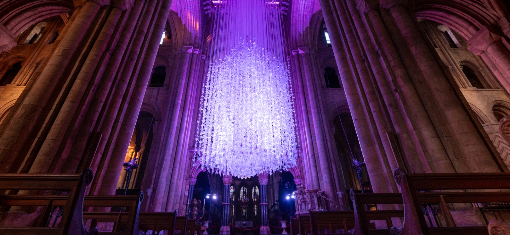 Peace Doves at Durham Cathedral