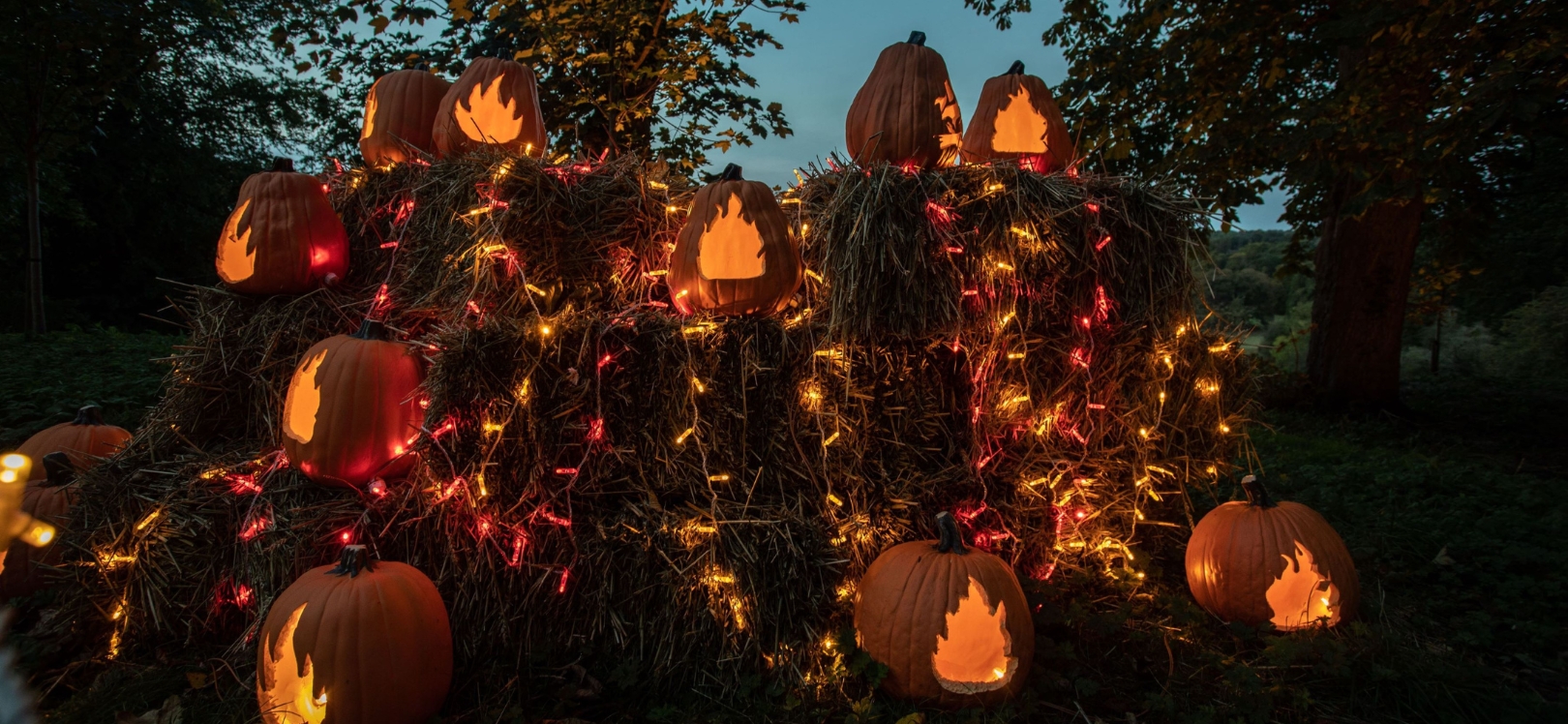 Pumpkins at night