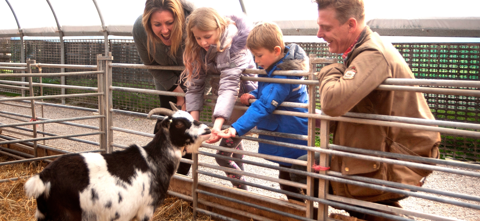 A family and a goat at Hall Hill Farm