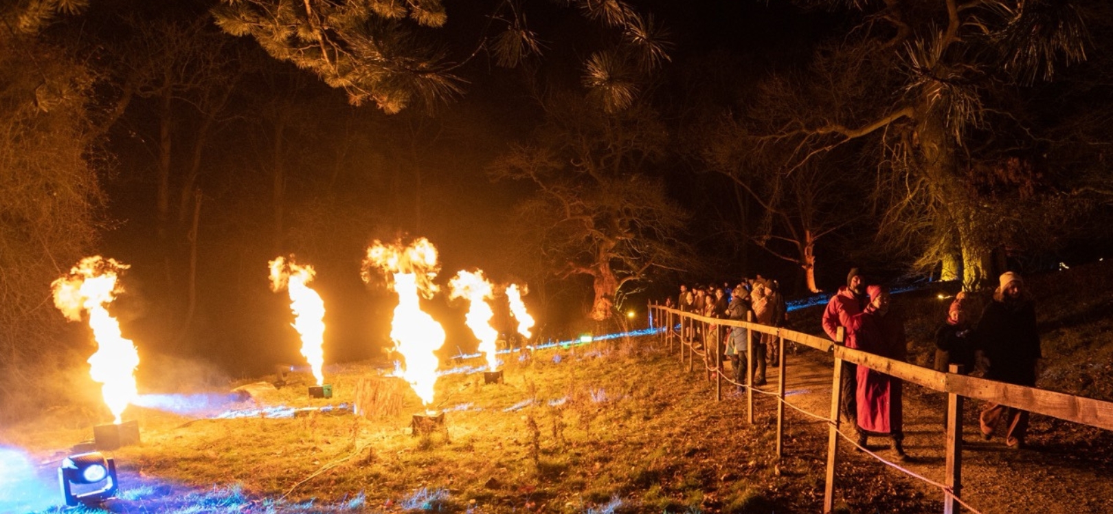 Onlookers at Aglow at the outdoor light trail