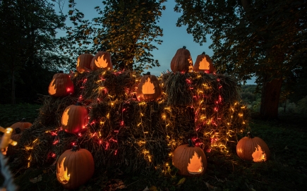 Pumpkins lit up and on top of straw 